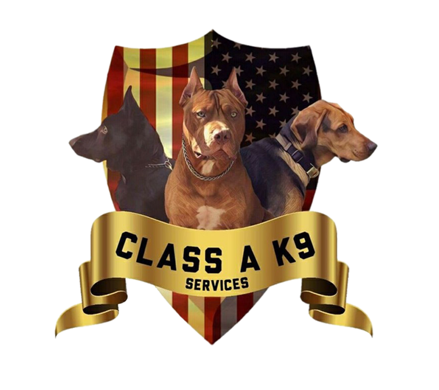 Class K9